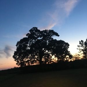 Meet your Posher, Michaela